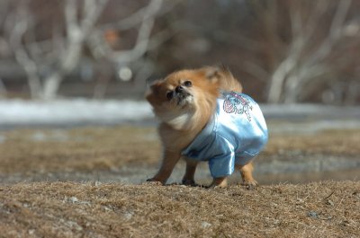 Mar11_07_048.JPG