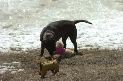 Mar11_07_056.JPG