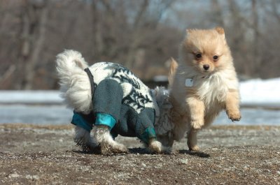 Mar11_07_077.JPG