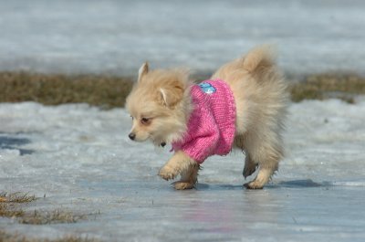 Mar11_07_084.JPG