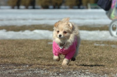 Mar11_07_086.JPG