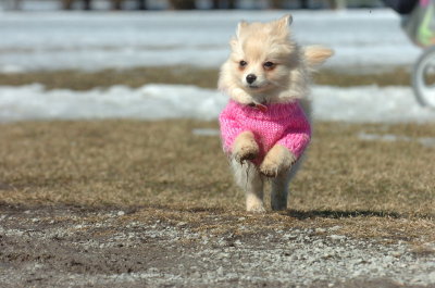 Mar11_07_087.JPG