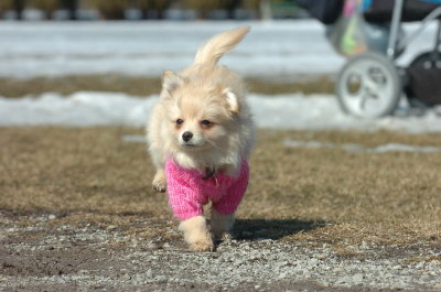Mar11_07_088.JPG