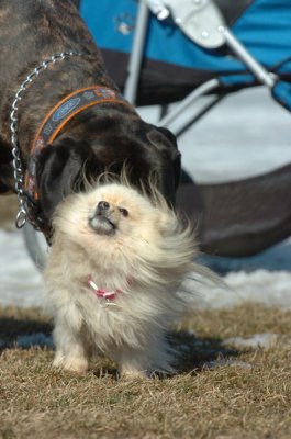 Mar11_07_093.JPG