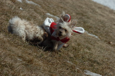 Mar11_07_105.JPG