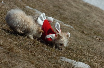 Mar11_07_106.JPG