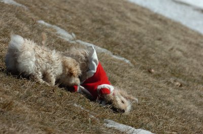 Mar11_07_107.JPG