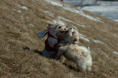 Mar11_07_109.JPG
