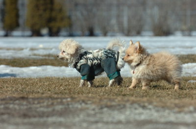 Mar11_07_110.JPG