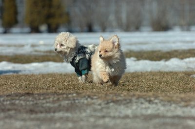 Mar11_07_112.JPG