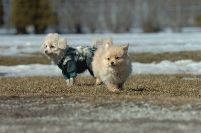 Mar11_07_114.JPG