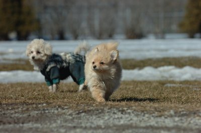Mar11_07_116.JPG