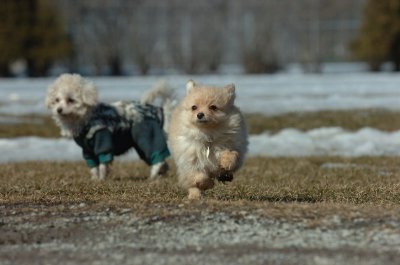 Mar11_07_117.JPG