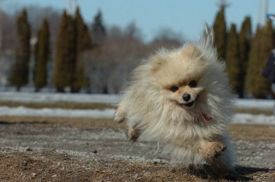 Mar11_07_125.JPG