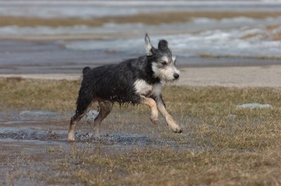 Mar13_07_1003.JPG