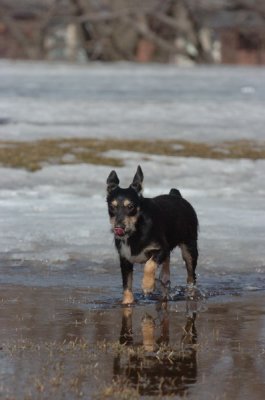 Mar13_07_1008.JPG