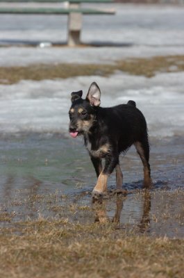 Mar13_07_1010.JPG