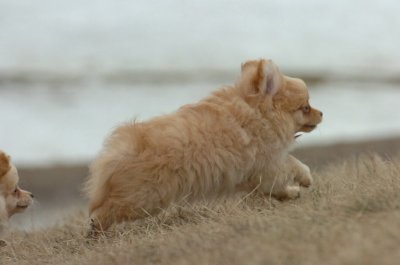 Mar13_07_336.JPG