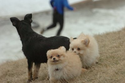 Mar13_07_340.JPG