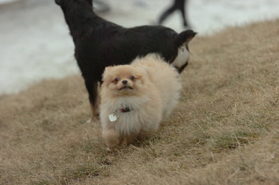 Mar13_07_341.JPG