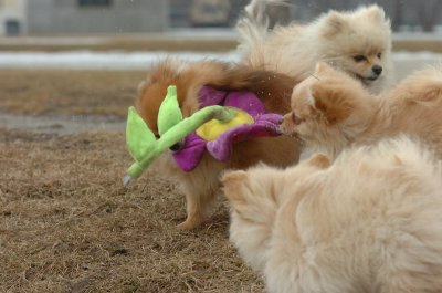 Mar13_07_358.JPG