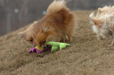 Mar13_07_360.JPG