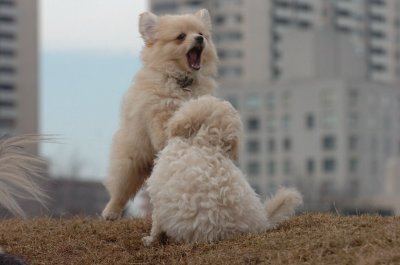 Mar13_07_369.JPG