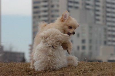 Mar13_07_370.JPG