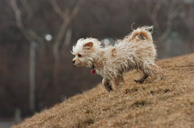 Mar13_07_218.JPG