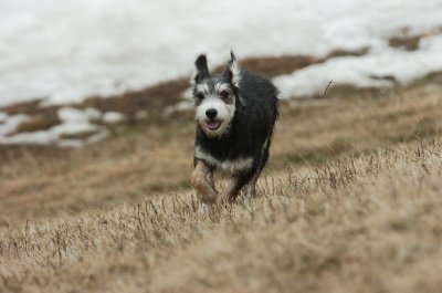 Mar13_07_219.JPG