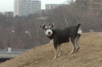 Mar13_07_228.JPG