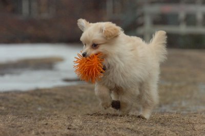 Mar13_07_229.JPG