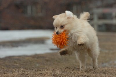 Mar13_07_230.JPG
