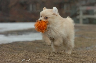 Mar13_07_231.JPG