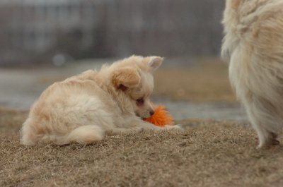 Mar13_07_234.JPG