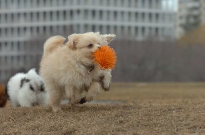 Mar13_07_240.JPG