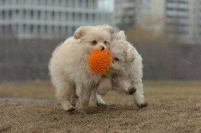 Mar13_07_242.JPG