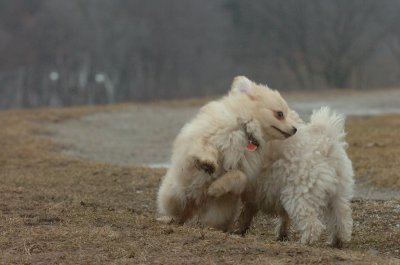 Mar13_07_269.JPG