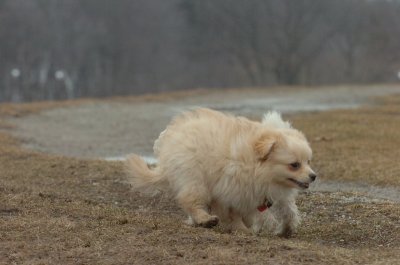 Mar13_07_271.JPG