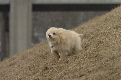 Mar13_07_277.JPG