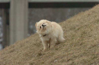 Mar13_07_278.JPG