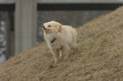 Mar13_07_279.JPG