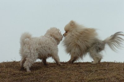 Mar13_07_280.JPG