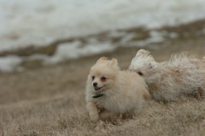 Mar13_07_282.JPG