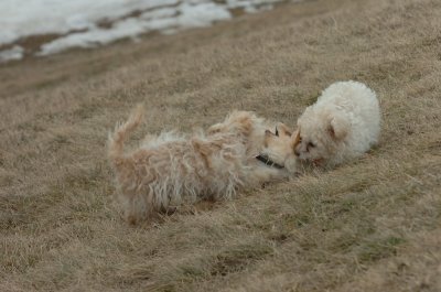 Mar13_07_283.JPG