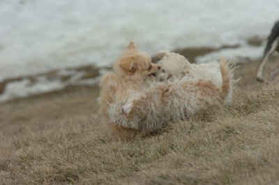 Mar13_07_284.JPG