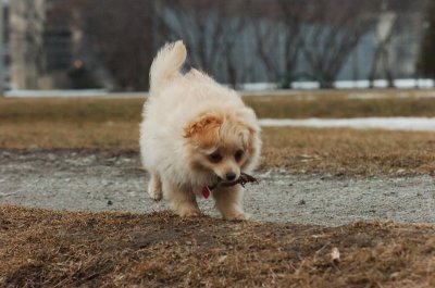 Mar13_07_077.JPG