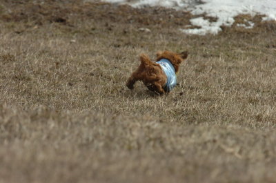 Mar15_07_580.JPG