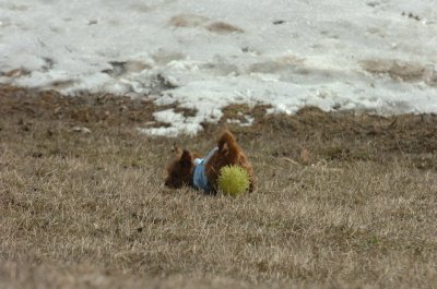 Mar15_07_581.JPG