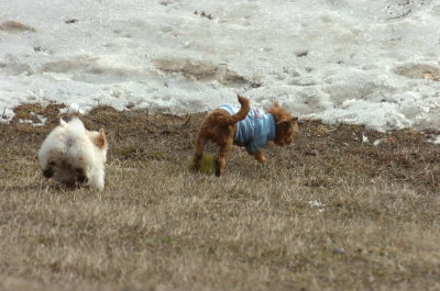 Mar15_07_582.JPG